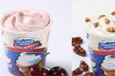 DF冰雪精靈冰淇淋加盟 開啟甜蜜事業(yè)的黃金選擇